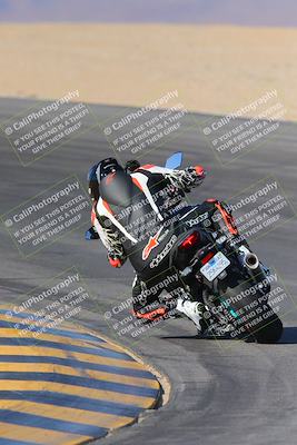 media/Nov-12-2023-SoCal Trackdays (Sun) [[5d1fba4e7d]]/Turn 10 Backside (115pm)/